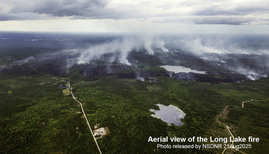 Nova Scotia Forest Matters