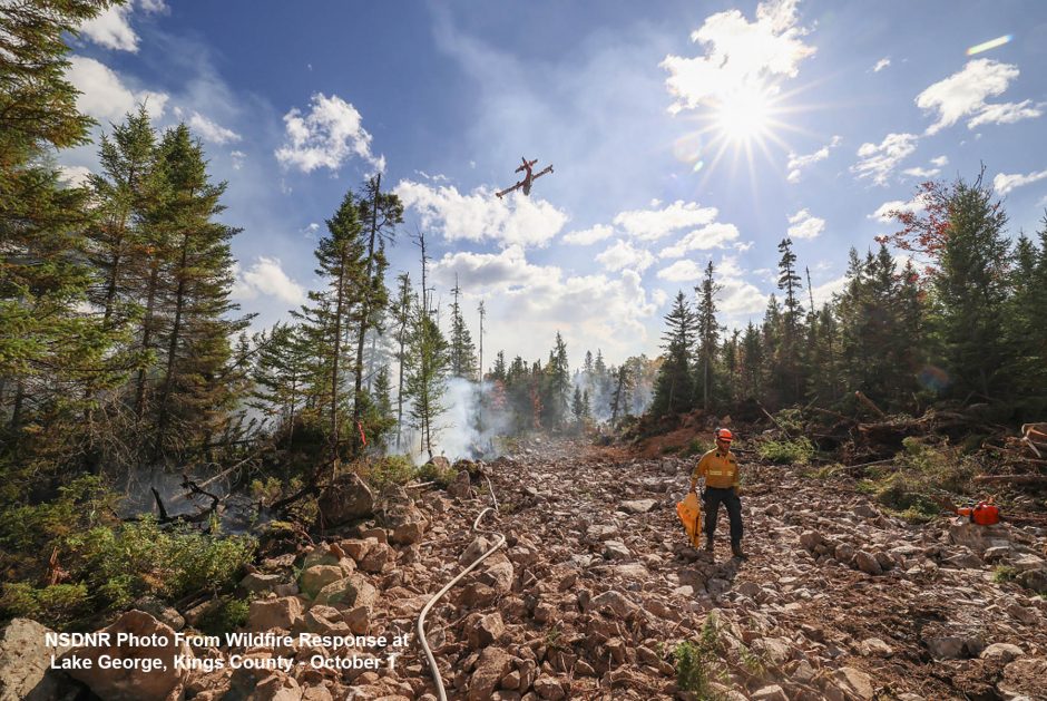 Nova Scotia Forest Matters
